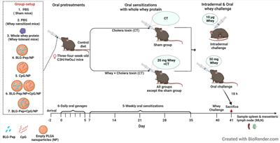 Oral pretreatment with β-lactoglobulin derived peptide and CpG co-encapsulated in PLGA nanoparticles prior to sensitizations attenuates cow’s milk allergy development in mice